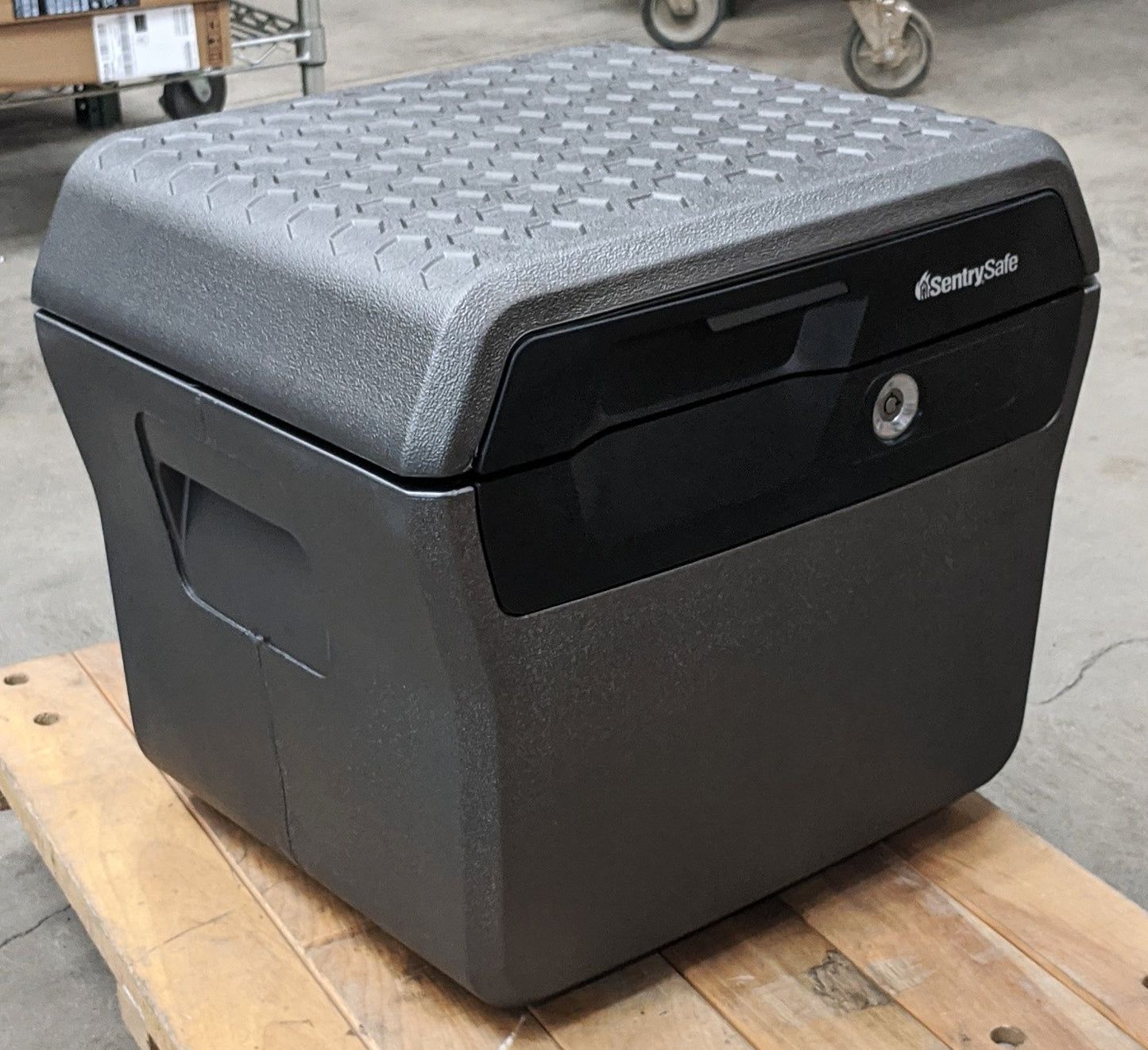 SENTRYSAFE WATERPROOF FIRE-RESISTANT 0.66 CU FT CAPACITY, CHARCOAL GRAYFHW40200