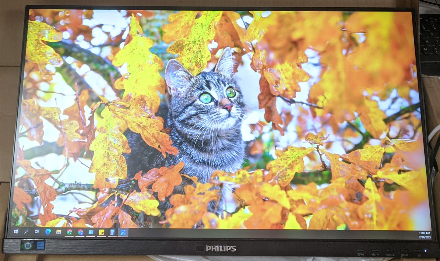 PHILIPS 243B1 24IN CLASS FULL HD LCD MONITOR 60Hz