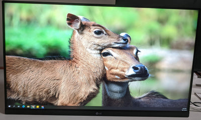 LG 24MP400 23.8in IPS FHD MONITOR - SCRATCHED