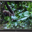 LG MONITOR 24MS500