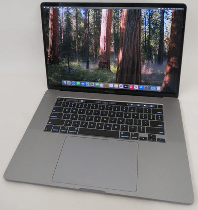 Apple MacBook Pro 2019 16in A2141 i7-9750H 2.6GHz 16GB RAM 512GB Sequoia 5300M