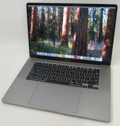 Apple MacBook Pro 2019 16in A2141 i7-9750H 2.6GHz 16GB RAM 512GB Sequoia 5300M