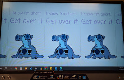 ASUS ZenScreen MB14AC 14" IPS LED Portable Monitor