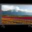 New Open Box VIZIO 24 LED-LCD TV FHD D24-D1