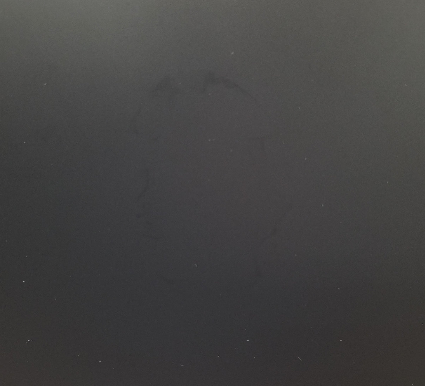 ASUS VIVOBOOK E1504F 15.6 In R5-7520U 16 GB, 512GB