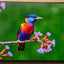 DELL S2725HS DISPLAY LED MONITOR