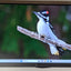 HP E22 G4 CLASS FULL HD LCD MONITOR