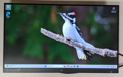 HP E22 G4 CLASS FULL HD LCD MONITOR