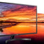 LG 31.5" FHD IPS Monitor, FreeSync, 32MN530NP-B