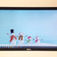 Dell 19.5 In LED LCD Monitor, Black E2016HV