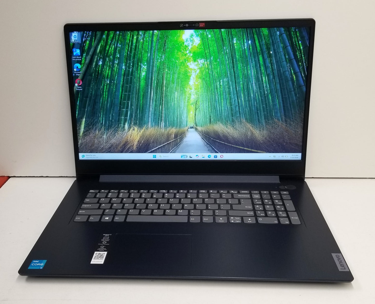 Lenovo IdeaPad 3 17ITL6 15.6 In i3-1115G4, 8GB Memory, 1TB