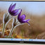 ELEMENT EM2FPAB24B 24IN FHD MONITOR